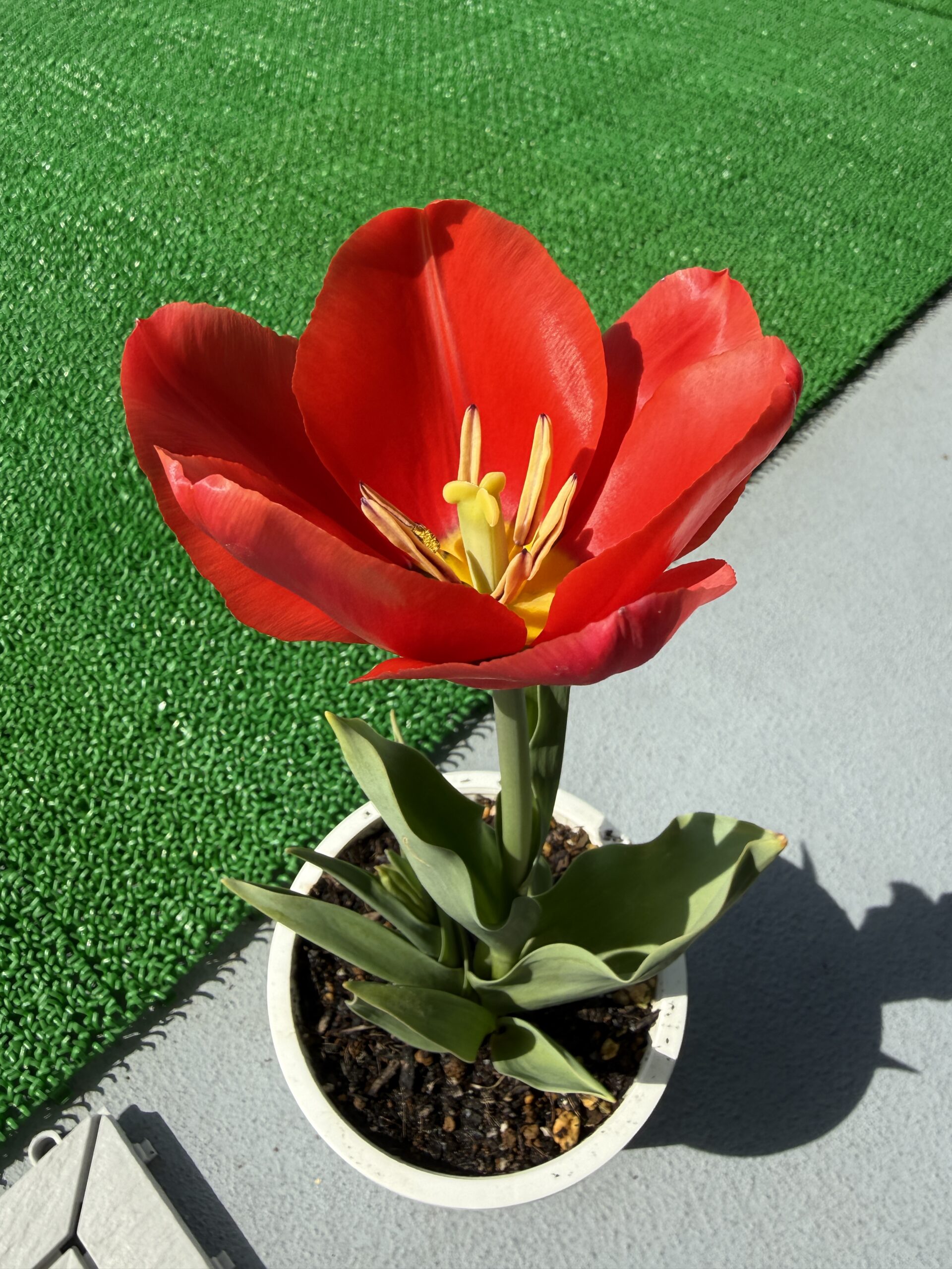 今日やる事を全力でやったので週末のゴルフが楽しみです